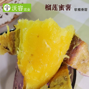 榴莲蜜薯糖心甜糯新鲜红薯5斤黄金烟薯小香薯临安烤山芋红苕沃容