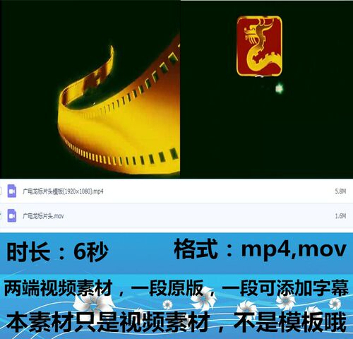 广电总局龙标会声会影AE片头模板通用婚礼视频素材22
