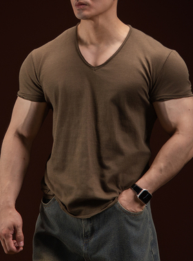 BARBRO美式休闲纯棉T恤男2025夏季新款男士短袖v领薄款老钱风上衣