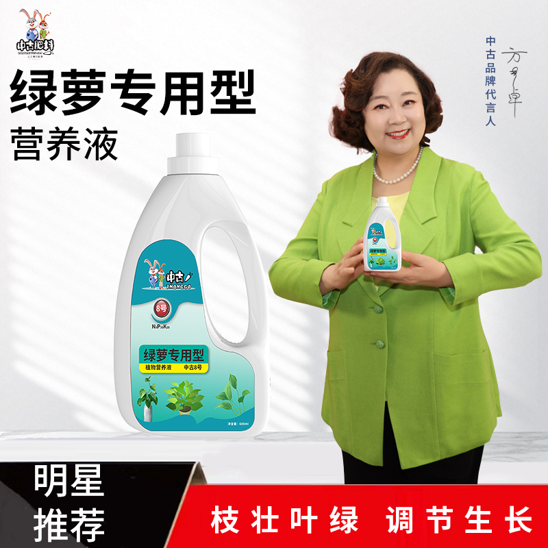 中古绿萝专用营养液防黄叶长藤蔓