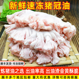 新鲜鸡冠油网红食品猪冠油水油猪肠油炼油滋啦花油五斤装