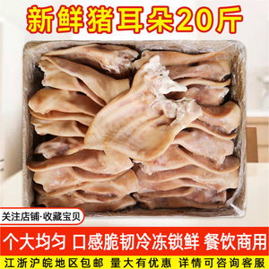 新鲜冷冻猪耳朵生猪耳片