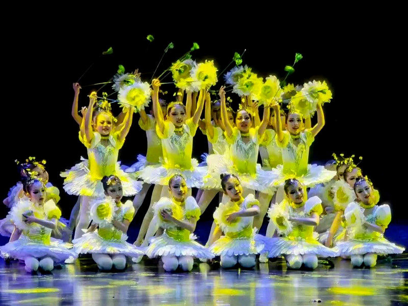 第十一届小荷风采花儿鼓儿歌儿少儿群舞六一女童纱裙蓬蓬裙演出服