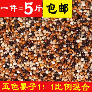 鸽粮鹦鹉混合粮5色混合黍子谷子小鹦鹉鸟食虎皮鸟粮玄凤牡丹食物