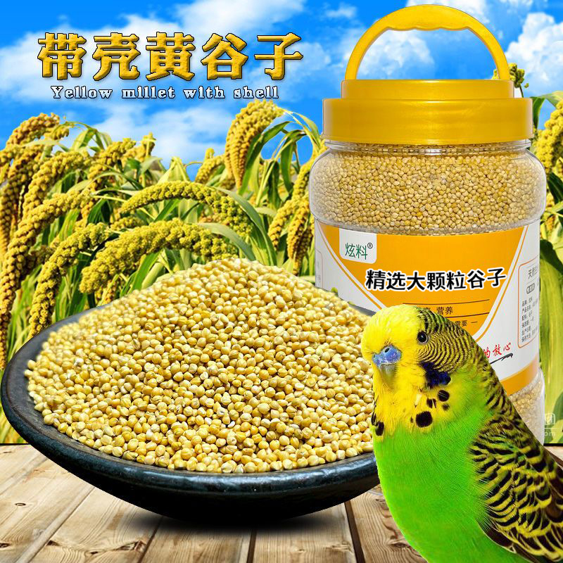 黄谷子鸟粮炫料大颗粒黄小米