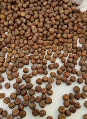 进口优质花饲料500G一件幼鸽