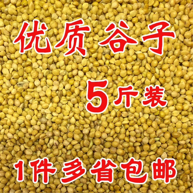 鹦鹉粮鸟粮鸟食鸟饲料