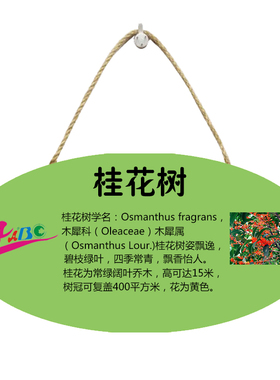 定制树木介绍标识牌挂牌标牌