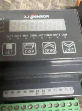 鑫精诚 XJCSENSOR 称重显示仪，鑫精诚智能测力表，型-议价