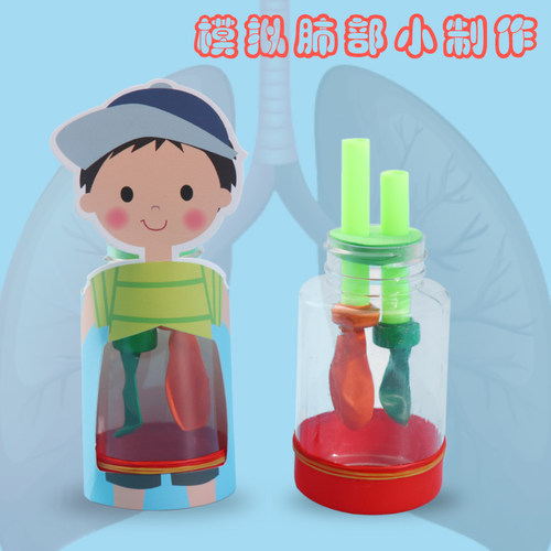 幼儿园生物作业手工科学实验diy科技小制作人体器官肺呼吸模型