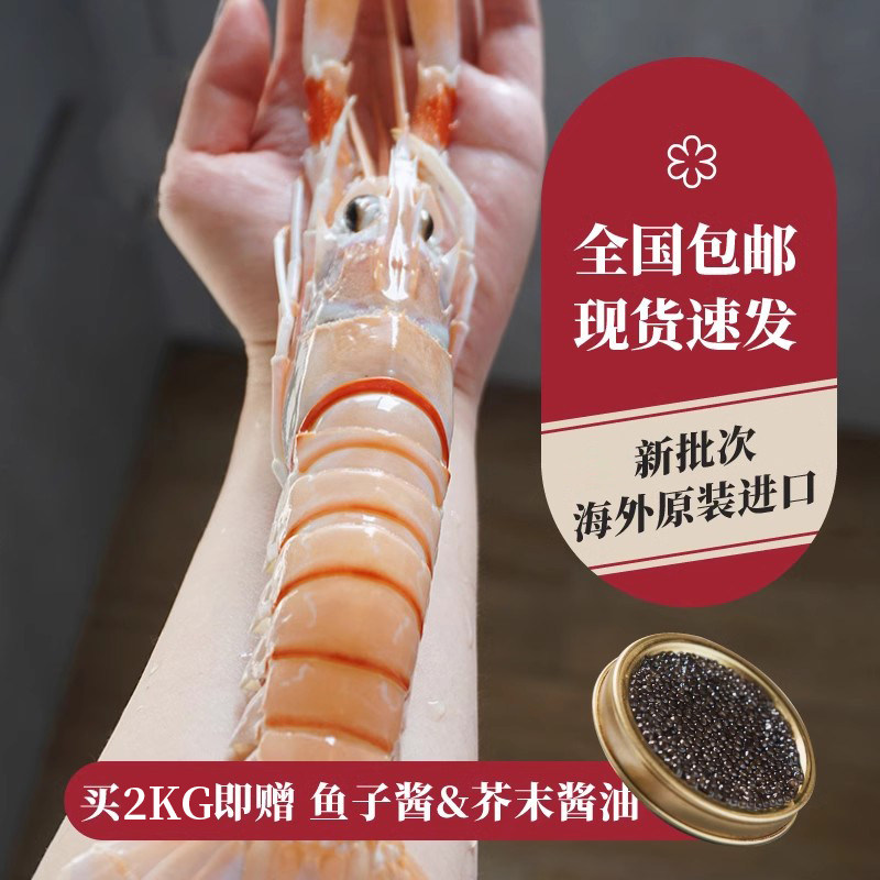 新西兰进口大号海鳌虾scampi斯干比小龙虾南极深海1号2号3号
