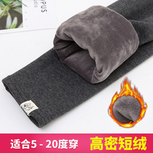 加绒打底裤女加厚外穿2019冬季新款灰色小猫显瘦韩版秋裤纯棉保暖