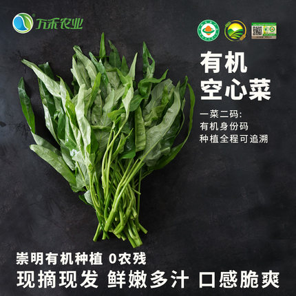 万禾农业万禾有机空心菜 清香可口 新鲜采摘绿叶菜凉拌菜佳品250g