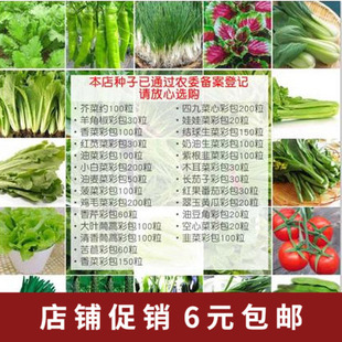 蔬菜种子四季播种阳台庭院盆栽番茄辣椒油麦菜瓜果菜种籽种孑大全