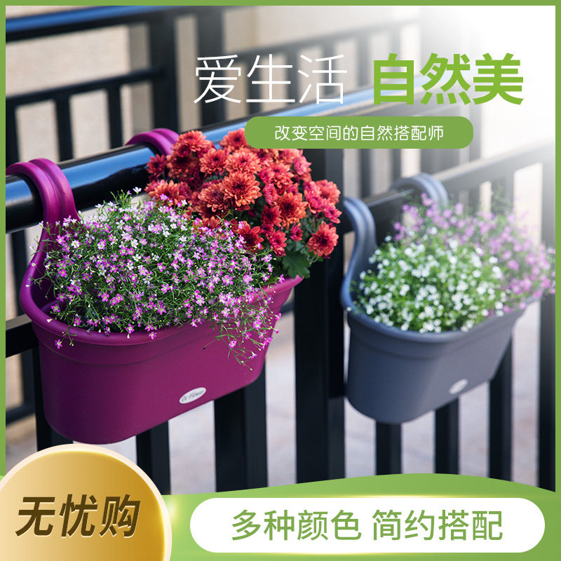 绿植花卉壁挂花盆别墅庭院景观阳台单双钩花盆简约现代塑料挂钩盆,鲜花速递/花卉仿真/绿植园艺,花盆,淘宝优惠券,粉丝福利购,淘宝优惠卷