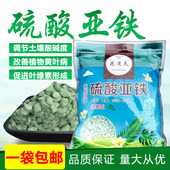 硫酸亚铁补铁肥家用园艺肥料通用型颗粒水溶肥花肥喜酸植物营养肥