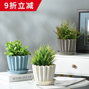 蛋糕杯花盆创意绿植花盆PP树脂环保花盆北欧简约塑料加厚矮款花盆