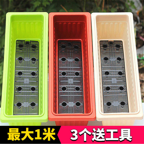 园艺塑料特大隔网绿植盆栽种植箱