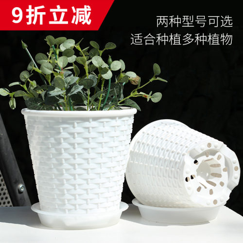 仿藤编塑料花盆透气控根盆蝴蝶兰专用花盆加厚耐用PP树脂多肉花盆