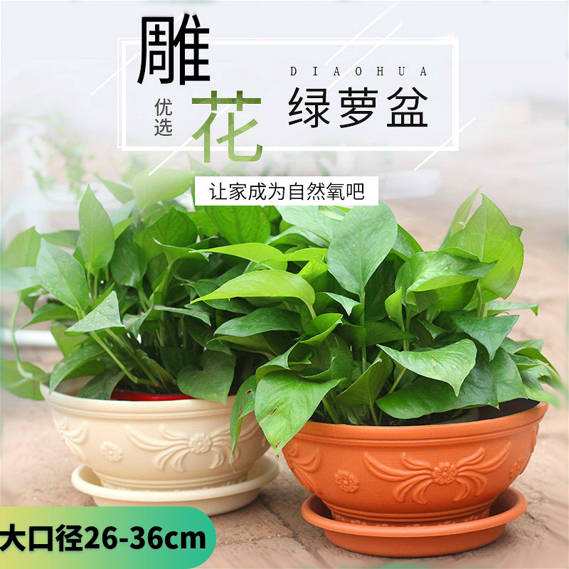 爱丽思花盆特大雕花绿萝盆PP树脂环保欧式花盆花卉绿植敞口大花盆