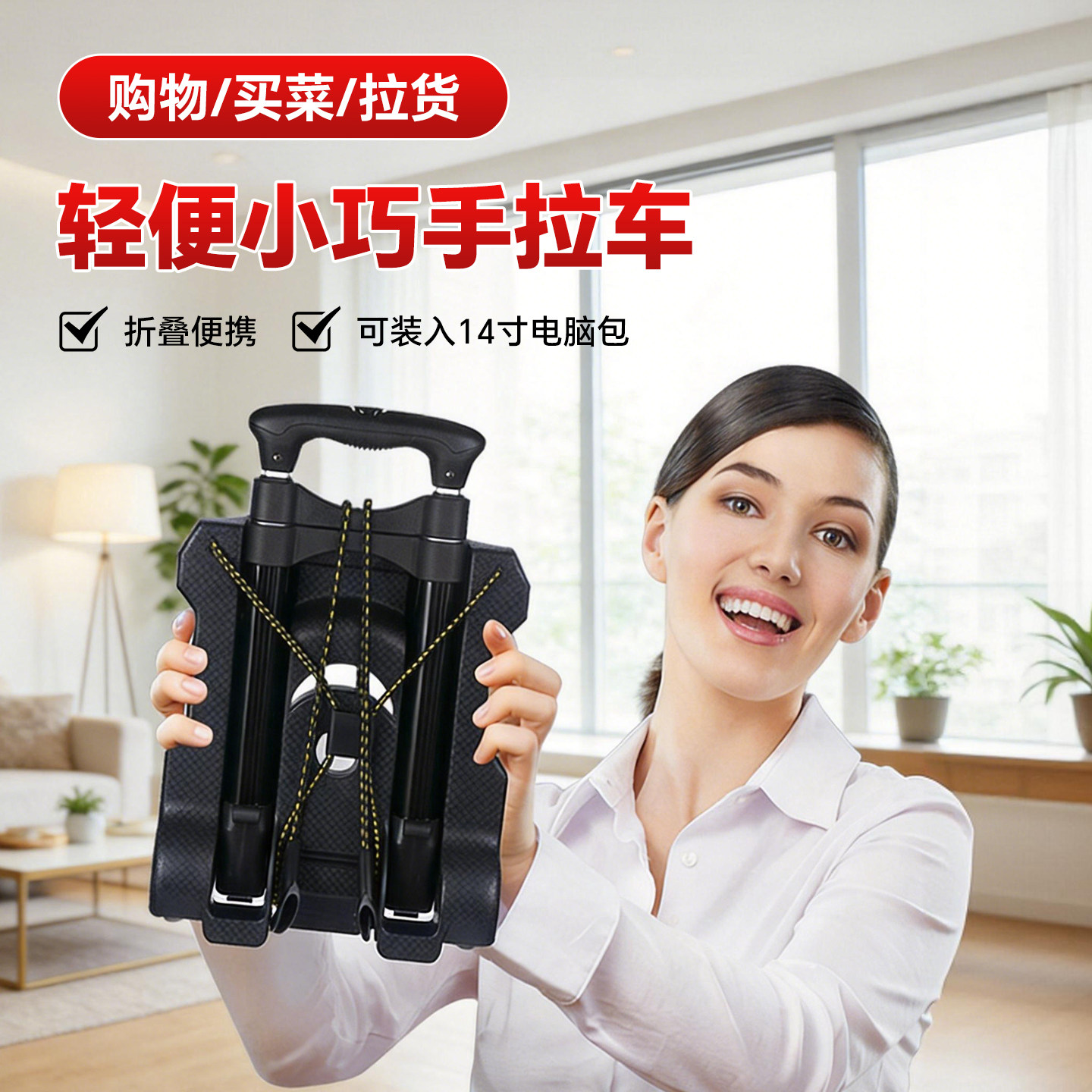 折叠便携行李家用买菜车拉杆图片