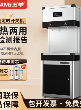 五羊商用直饮水机RO反渗透5级开水器学校烧水炉水器冷热幼儿园净