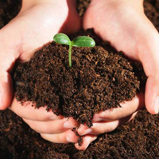 护花使者营养土大包含珍珠岩椰砖粉蛭石珍珠岩花卉蔬菜通用土肥料