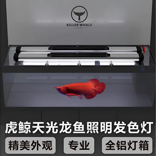 虎鲸天光灯龙鱼灯2700k鱼缸专用灯鱼灯水族灯照明发色灯顶灯 侧灯