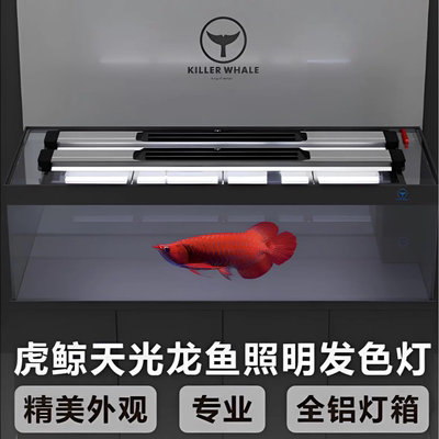 KINGOFWATER虎鲸鱼缸灯龙缸灯