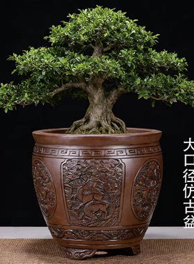 淘淘紫砂仿古圆形大口径花盆