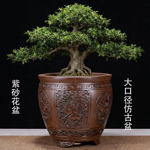 淘淘紫砂仿古圆形大口径花盆