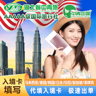 电子入境卡马来西亚泰国韩国日本印尼填写代填新加坡吉隆坡签证