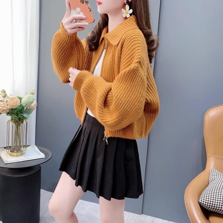 毛衣开衫女2025新款外套春秋宽松翻领拉炼女士短款小个子针织上衣