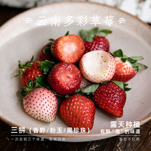 云边边|高原多彩草莓云南特产水果现摘 香野/黑珍珠/粉玉顺丰空运