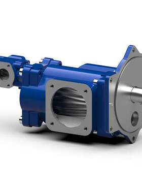 德国RICKMEIER阀门 油泵 齿轮泵R25/10 FL-Z-SO