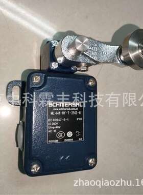 ML441-11Y-T-2512-6行程限位开关施迈赛SCHMERSAL