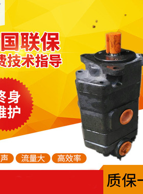 正品榆次液压高压齿轮油泵CB-J2063 2080 2100-F1-1R/2R L