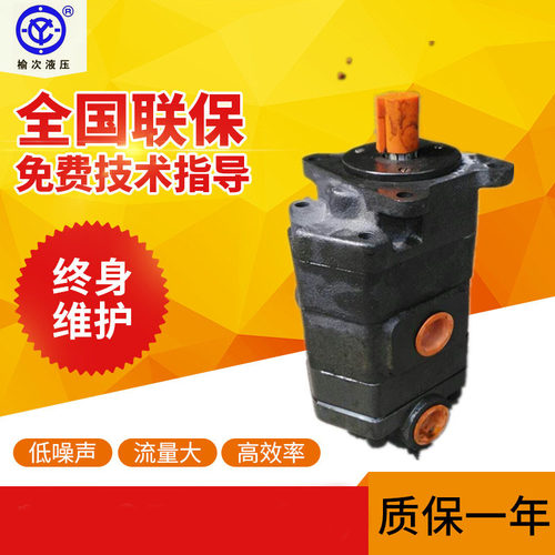 正品榆次液压高压齿轮油泵CB-J2063 2080 2100-F1-1R/2R L