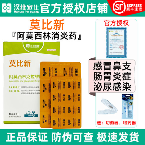 莫比新阿莫西林猫狗消炎药