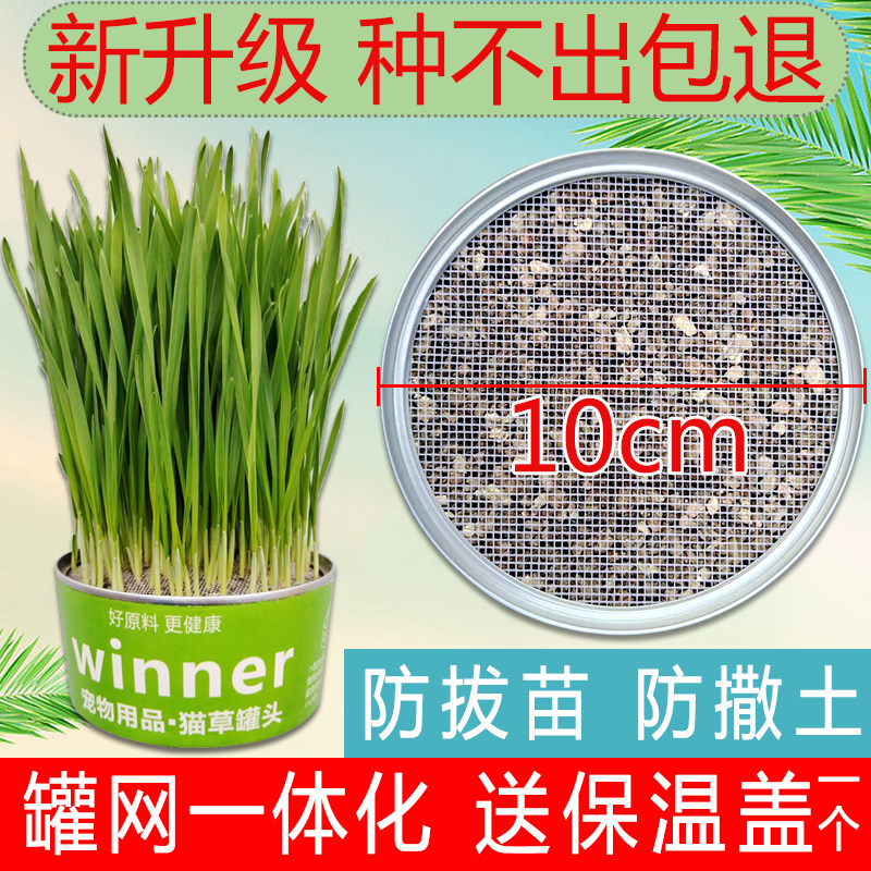 懒人猫草罐头盆栽小麦种子土水培盆盒化毛球用品猫咪专用自种零食,宠物/宠物食品及用品,猫草/猫草片,淘宝优惠券,粉丝福利购,淘宝优惠卷