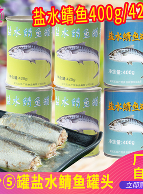 【5罐】盐水鲭鱼罐头下饭即食青鱼鲭鱼罐头海鲜400g425g*5罐出口