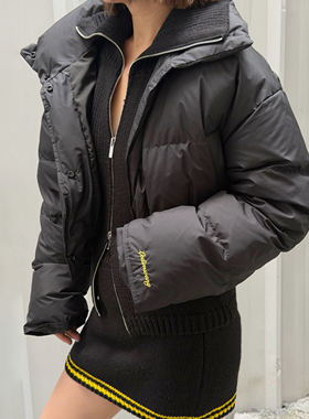 LEDIM WANG红标/量感暖核立领羽绒服短款外套女黑色上衣25冬新款