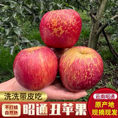 现摘现发带皮 包邮 云南昭通冰糖心丑苹果当季 新鲜水果甜脆多汁同城