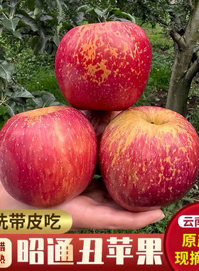 冰糖心苹果同城包送农产品
