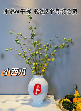 小西瓜鲜切枝水养干养金黄花期长意境小众插花家庭花束
