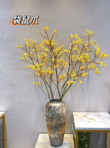 袋鼠爪鲜切花店铺摆设高级感插花黄色红色有趣植物云南直发