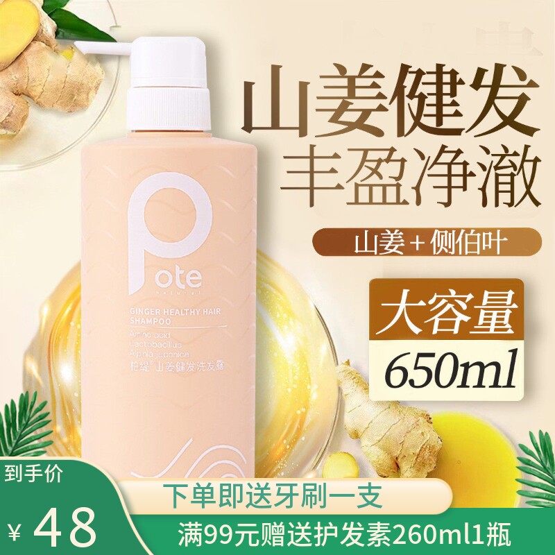 Pote柏缇山姜健发无硅油洗发露蓬松去屑止痒控油氨基酸洗发水男女
