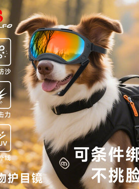 中大犬骑行防风防紫外线护目镜