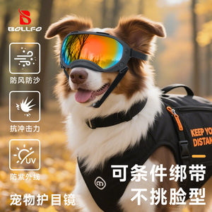 中大犬骑行防风防紫外线护目镜