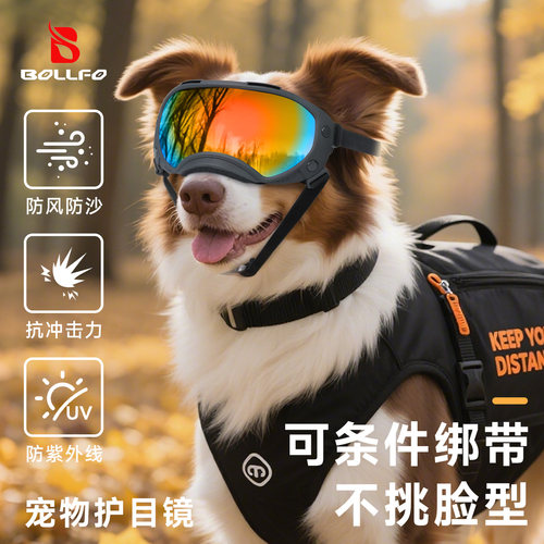 中大犬骑行防风防紫外线护目镜